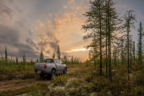 Must-Visit Road Trip Destinations in Colorado For This Summer